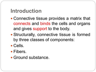 Introduction
 Connective tissue provides a matrix that
connects and binds the cells and organs
and gives support to the body.
 Structurally, connective tissue is formed
by three classes of components:
 Cells.
 Fibers.
 Ground substance.
 