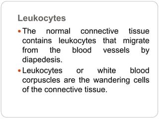 Leukocytes
 The normal connective tissue
contains leukocytes that migrate
from the blood vessels by
diapedesis.
 Leukocytes or white blood
corpuscles are the wandering cells
of the connective tissue.
 