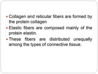  Collagen and reticular fibers are formed by
the protein collagen
 Elastic fibers are composed mainly of the
protein elastin.
 These fibers are distributed unequally
among the types of connective tissue.
 