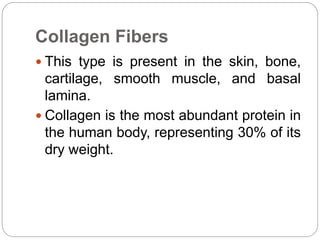 Collagen Fibers
 This type is present in the skin, bone,
cartilage, smooth muscle, and basal
lamina.
 Collagen is the most abundant protein in
the human body, representing 30% of its
dry weight.
 