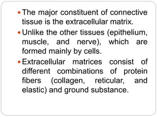  The major constituent of connective
tissue is the extracellular matrix.
 Unlike the other tissues (epithelium,
muscle, and nerve), which are
formed mainly by cells.
 Extracellular matrices consist of
different combinations of protein
fibers (collagen, reticular, and
elastic) and ground substance.
 