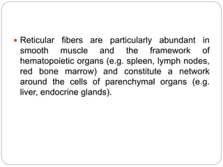  Reticular fibers are particularly abundant in
smooth muscle and the framework of
hematopoietic organs (e.g. spleen, lymph nodes,
red bone marrow) and constitute a network
around the cells of parenchymal organs (e.g.
liver, endocrine glands).
 