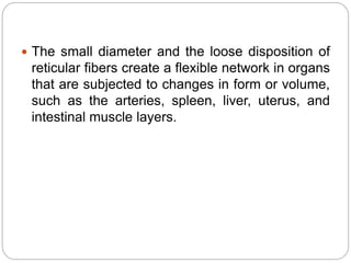  The small diameter and the loose disposition of
reticular fibers create a flexible network in organs
that are subjected to changes in form or volume,
such as the arteries, spleen, liver, uterus, and
intestinal muscle layers.
 