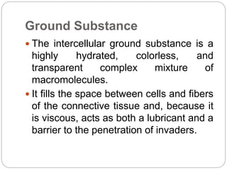 Ground Substance
 The intercellular ground substance is a
highly hydrated, colorless, and
transparent complex mixture of
macromolecules.
 It fills the space between cells and fibers
of the connective tissue and, because it
is viscous, acts as both a lubricant and a
barrier to the penetration of invaders.
 