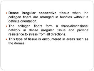  Dense irregular connective tissue when the
collagen fibers are arranged in bundles without a
definite orientation.
 The collagen fibers form a three-dimensional
network in dense irregular tissue and provide
resistance to stress from all directions.
 This type of tissue is encountered in areas such as
the dermis.
 