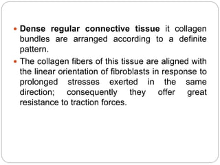  Dense regular connective tissue it collagen
bundles are arranged according to a definite
pattern.
 The collagen fibers of this tissue are aligned with
the linear orientation of fibroblasts in response to
prolonged stresses exerted in the same
direction; consequently they offer great
resistance to traction forces.
 