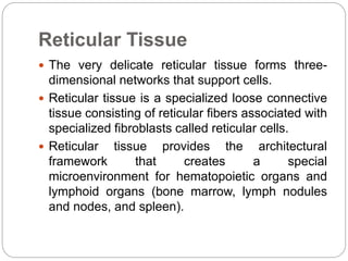 Reticular Tissue
 The very delicate reticular tissue forms three-
dimensional networks that support cells.
 Reticular tissue is a specialized loose connective
tissue consisting of reticular fibers associated with
specialized fibroblasts called reticular cells.
 Reticular tissue provides the architectural
framework that creates a special
microenvironment for hematopoietic organs and
lymphoid organs (bone marrow, lymph nodules
and nodes, and spleen).
 