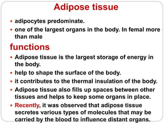 Adipose tissue
 adipocytes predominate.
 one of the largest organs in the body. In femal more
than male
functions
 Adipose tissue is the largest storage of energy in
the body.
 help to shape the surface of the body.
 it contributes to the thermal insulation of the body.
 Adipose tissue also fills up spaces between other
tissues and helps to keep some organs in place.
 Recently, it was observed that adipose tissue
secretes various types of molecules that may be
carried by the blood to influence distant organs.
 