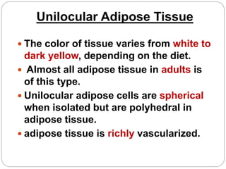 Unilocular Adipose Tissue
 The color of tissue varies from white to
dark yellow, depending on the diet.
 Almost all adipose tissue in adults is
of this type.
 Unilocular adipose cells are spherical
when isolated but are polyhedral in
adipose tissue.
 adipose tissue is richly vascularized.
 