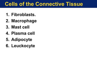 Cells of the Connective Tissue
1. Fibroblasts.
2. Macrophage
3. Mast cell
4. Plasma cell
5. Adipocyte
6. Leuckocyte
 
