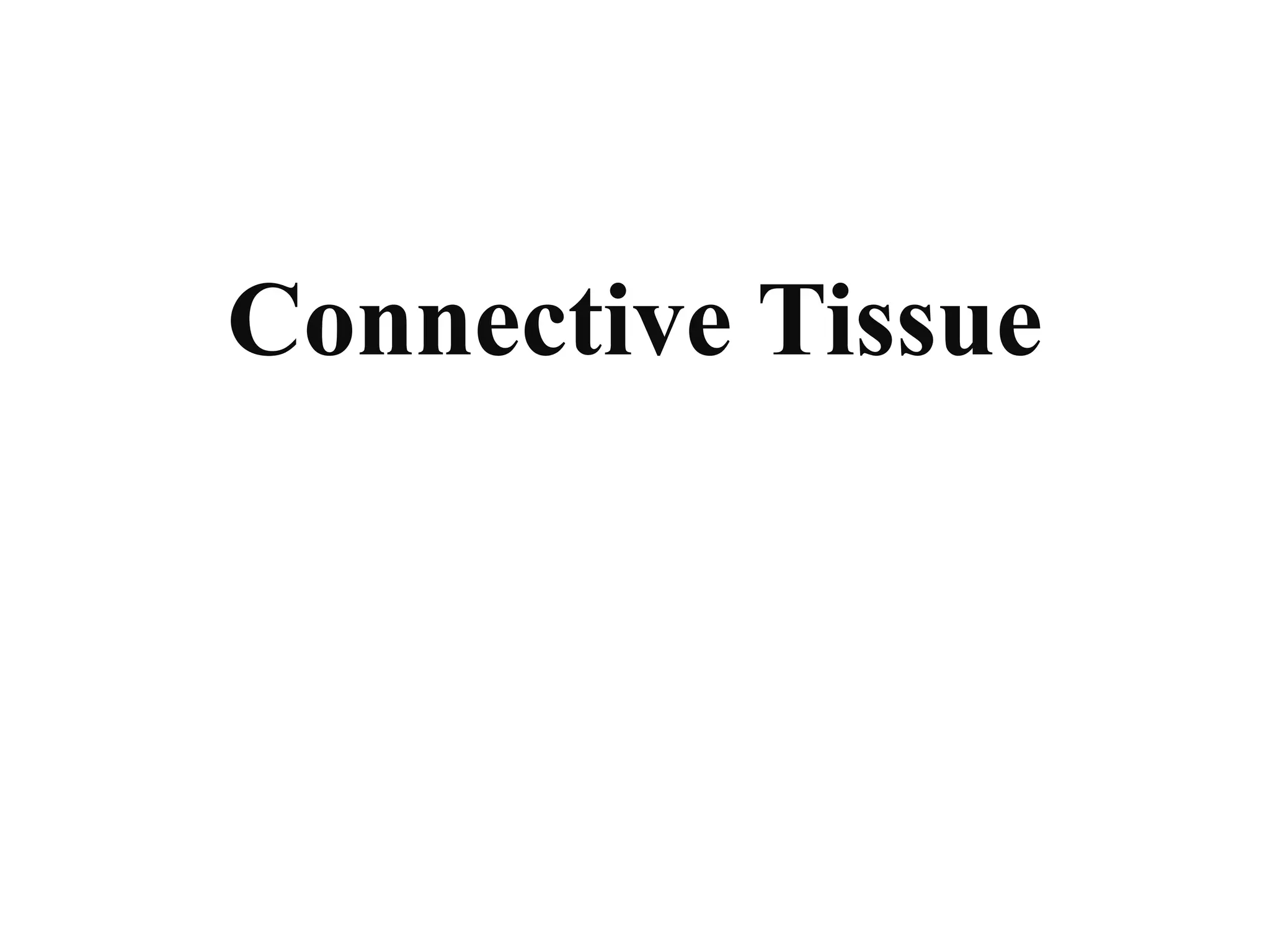 Connective Tissue
 