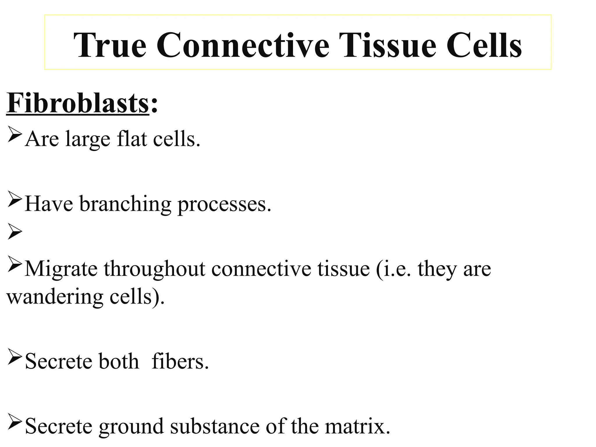 True Connective Tissue Cells
Fibroblasts:
Are large flat cells.
Have branching processes.

Migrate throughout connective tissue (i.e. they are
wandering cells).
Secrete both fibers.
Secrete ground substance of the matrix.
 