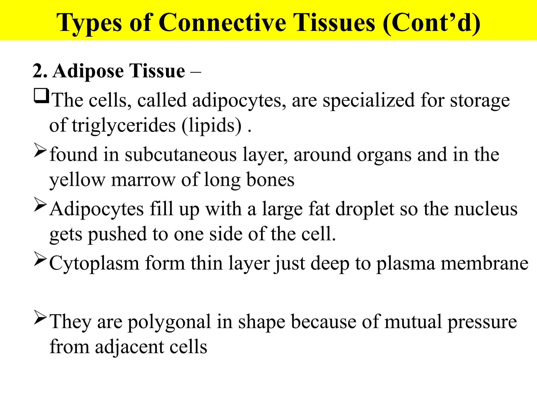 2. Adipose Tissue –
The cells, called adipocytes, are specialized for storage
of triglycerides (lipids) .
found in subcutaneous layer, around organs and in the
yellow marrow of long bones
Adipocytes fill up with a large fat droplet so the nucleus
gets pushed to one side of the cell.
Cytoplasm form thin layer just deep to plasma membrane
They are polygonal in shape because of mutual pressure
from adjacent cells
Types of Connective Tissues (Cont’d)
 