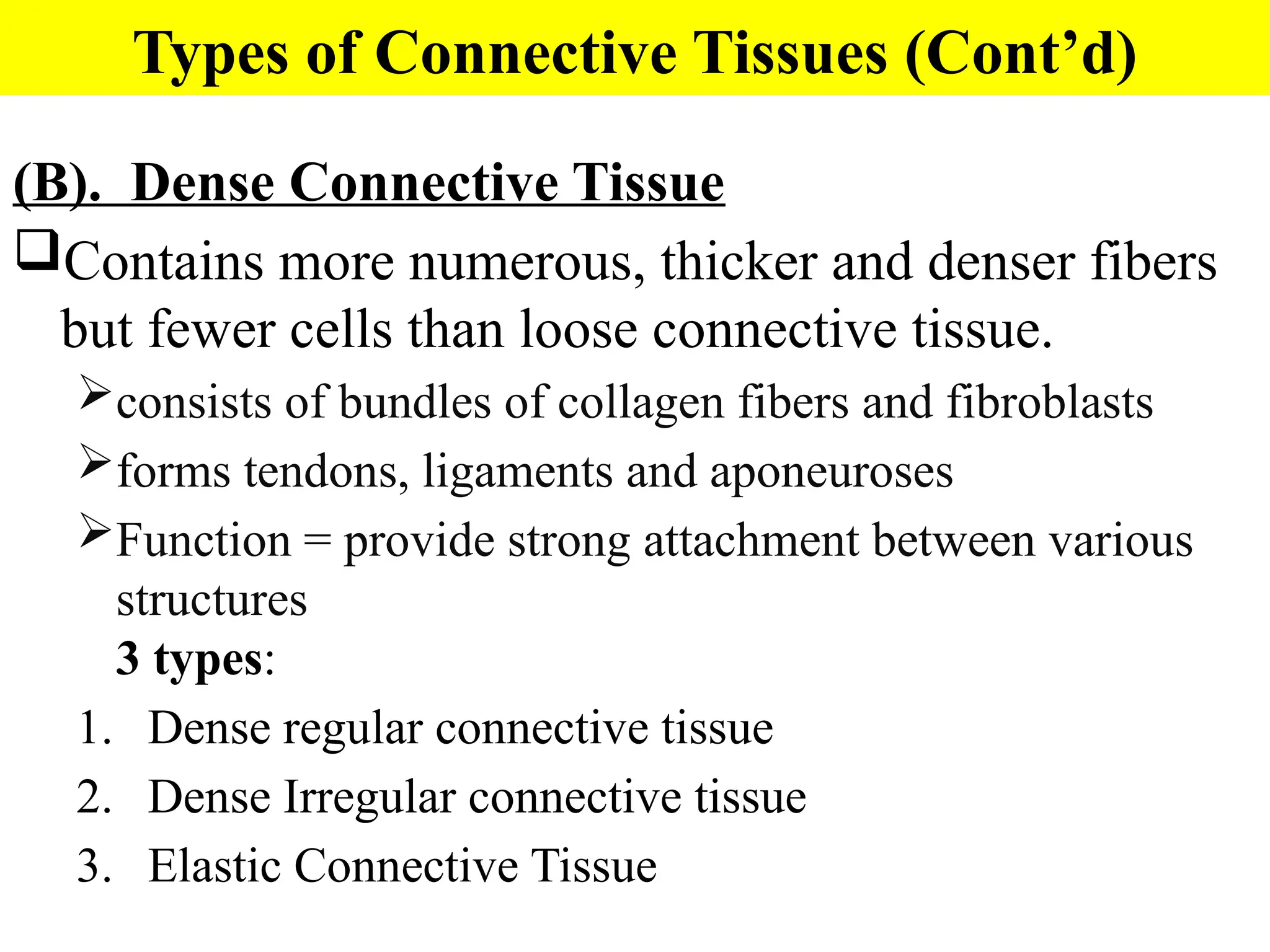 (B). Dense Connective Tissue
Contains more numerous, thicker and denser fibers
but fewer cells than loose connective tissue.
consists of bundles of collagen fibers and fibroblasts
forms tendons, ligaments and aponeuroses
Function = provide strong attachment between various
structures
3 types:
1. Dense regular connective tissue
2. Dense Irregular connective tissue
3. Elastic Connective Tissue
Types of Connective Tissues (Cont’d)
 