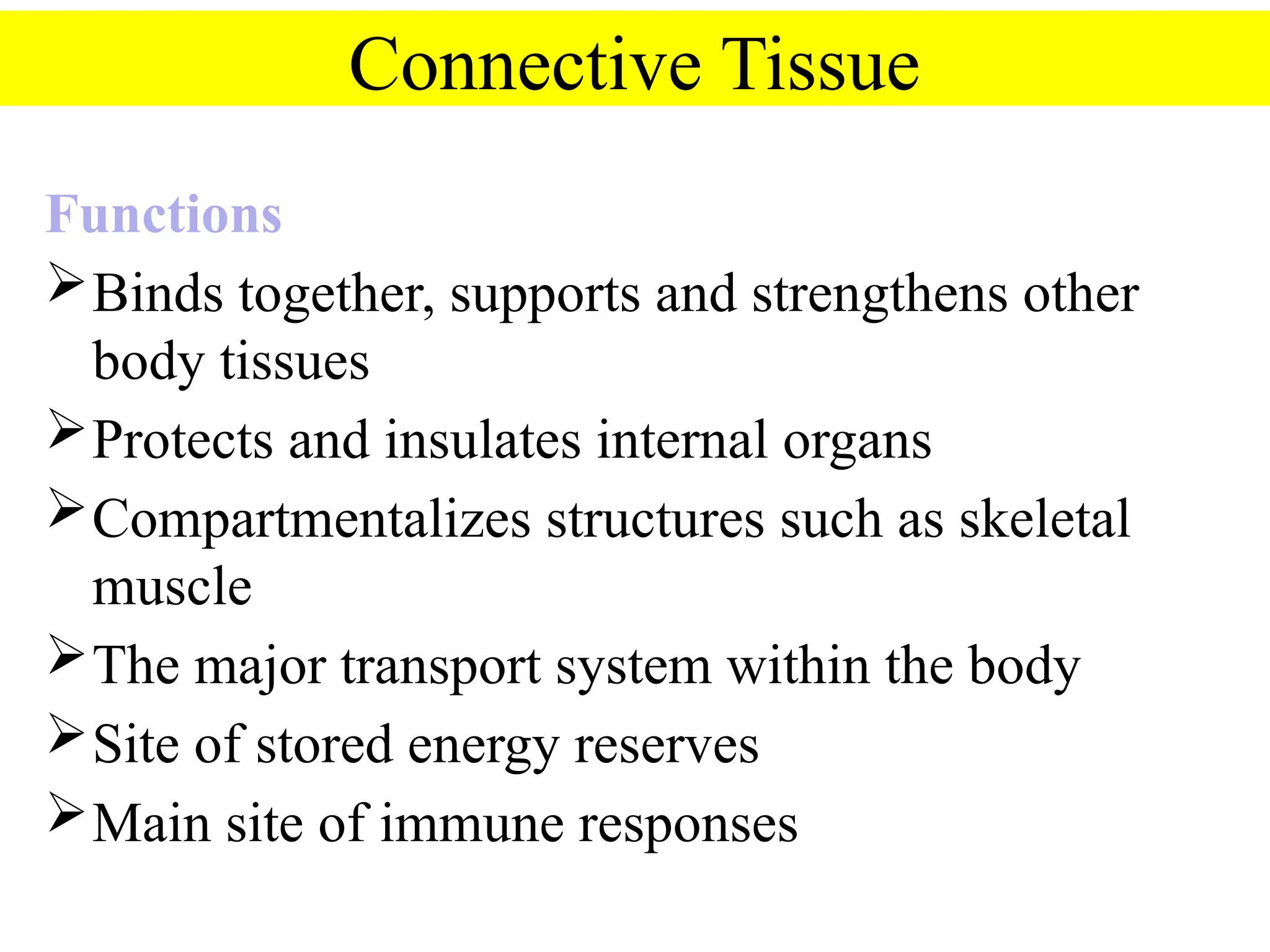 Connective Tissue
Functions
Binds together, supports and strengthens other
body tissues
Protects and insulates internal organs
Compartmentalizes structures such as skeletal
muscle
The major transport system within the body
Site of stored energy reserves
Main site of immune responses
 