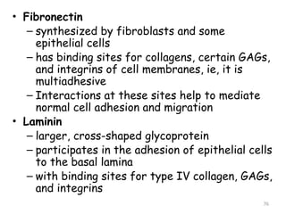 connective tissue africa medical clo(1).pptx