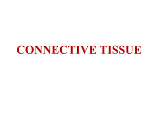 CONNECTIVE TISSUE
 