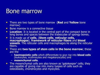 CONNECTIVE TISSUE BRS;C.ppt