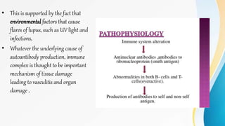 • This is supported by the fact that
environmental factors that cause
flares of lupus, such as UV light and
infections,
• Whatever the underlying cause of
autoantibody production, immune
complex is thought to be important
mechanism of tissue damage
leading to vasculitis and organ
damage .
 