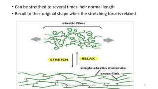 Coaxis Stretch Connective tissue disorders by Dr Ashok Kumar J | PPTX