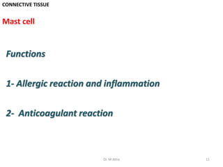 CONNECTIVE TISSUE
Mast cell
Functions
1- Allergic reaction and inflammation
2- Anticoagulant reaction
11Dr. M.Attia
 
