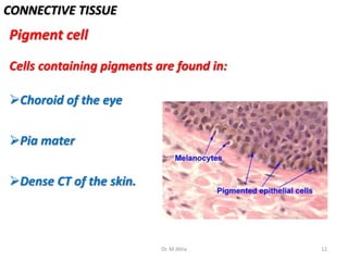 CONNECTIVE TISSUE
Pigment cell
Cells containing pigments are found in:
Choroid of the eye
Pia mater
Dense CT of the skin.
12Dr. M.Attia
 