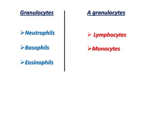 Granulocytes
Neutrophils
Basophils
Eosinophils
A granulocytes
 Lymphocytes
Monocytes
 