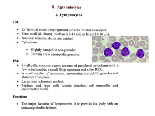 Connective Tissue Free Cells  Histology