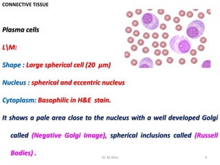 CONNECTIVE TISSUE
Plasma cells
LM:
Shape : Large spherical cell (20 µm)
Nucleus : spherical and eccentric nucleus
Cytoplasm: Basophilic in H&E stain.
It shows a pale area close to the nucleus with a well developed Golgi
called (Negative Golgi Image), spherical inclusions called (Russell
Bodies) . 4Dr. M.Attia
 