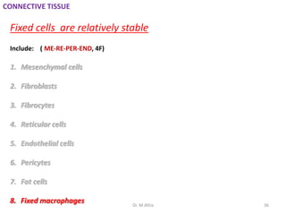 Connective Tissue Fixed Cells Histology | PPTX