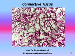 Connective Tissue histologyy lecture.pdf
