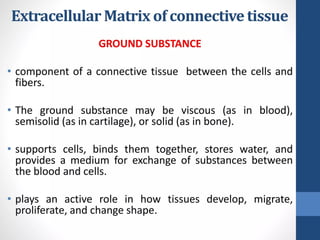 CONNECTIVE TISSUE LECTURE that relates with histology | PPTX