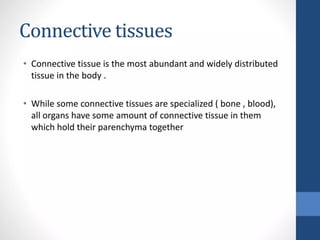 CONNECTIVE TISSUE LECTURE that relates with histology | PPTX