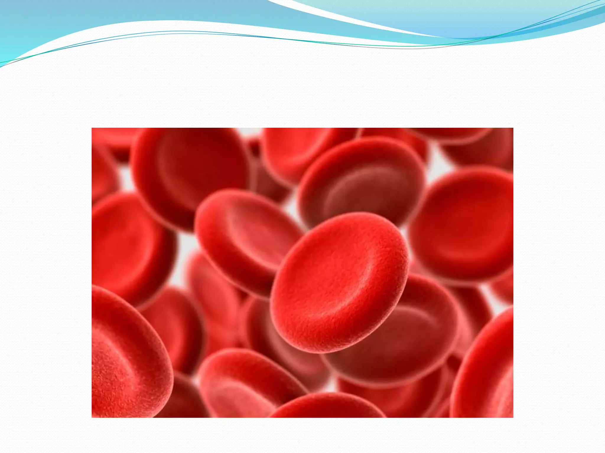 Connective Tissue Ppt Pptx