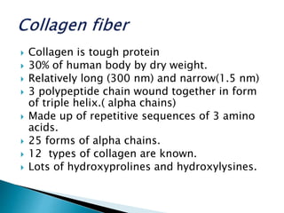  Collagen is tough protein
 30% of human body by dry weight.
 Relatively long (300 nm) and narrow(1.5 nm)
 3 polypeptide chain wound together in form
of triple helix.( alpha chains)
 Made up of repetitive sequences of 3 amino
acids.
 25 forms of alpha chains.
 12 types of collagen are known.
 Lots of hydroxyprolines and hydroxylysines.
 