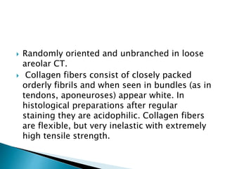  Randomly oriented and unbranched in loose
areolar CT.
 Collagen fibers consist of closely packed
orderly fibrils and when seen in bundles (as in
tendons, aponeuroses) appear white. In
histological preparations after regular
staining they are acidophilic. Collagen fibers
are flexible, but very inelastic with extremely
high tensile strength.
 