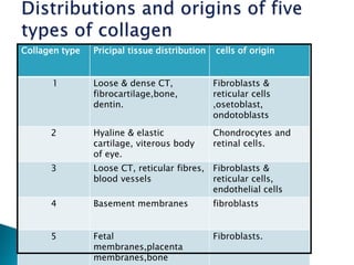 Collagen type Pricipal tissue distribution cells of origin
1 Loose & dense CT,
fibrocartilage,bone,
dentin.
Fibroblasts &
reticular cells
,osetoblast,
ondotoblasts
2 Hyaline & elastic
cartilage, viterous body
of eye.
Chondrocytes and
retinal cells.
3 Loose CT, reticular fibres,
blood vessels
Fibroblasts &
reticular cells,
endothelial cells
4 Basement membranes fibroblasts
5 Fetal
membranes,placenta
membranes,bone
Fibroblasts.
 