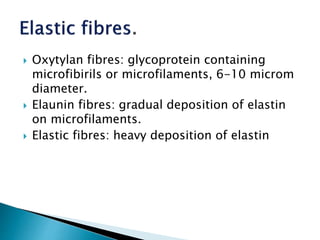  Oxytylan fibres: glycoprotein containing
microfibirils or microfilaments, 6-10 microm
diameter.
 Elaunin fibres: gradual deposition of elastin
on microfilaments.
 Elastic fibres: heavy deposition of elastin
 
