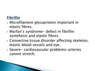 Fibrillin
 Microfilament glycoprotein important in
elastic fibres.
 Marfan’s syndrome- defect in fibrillin
syntehesis and elastic fibres.
 Connective tissue disorder affecting skeleton,
elastic blood vessels and eye.
 Severe- cardiovascular problems-arteries
cannot stretch.
 