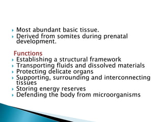  Most abundant basic tissue.
 Derived from somites during prenatal
development.
Functions
 Establishing a structural framework
 Transporting fluids and dissolved materials
 Protecting delicate organs
 Supporting, surrounding and interconnecting
tissues
 Storing energy reserves
 Defending the body from microorganisms
 