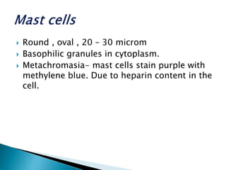  Round , oval , 20 – 30 microm
 Basophilic granules in cytoplasm.
 Metachromasia- mast cells stain purple with
methylene blue. Due to heparin content in the
cell.
 