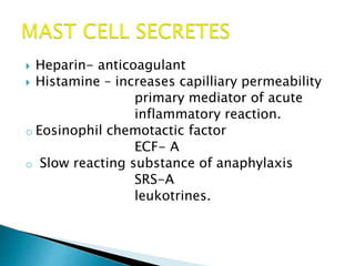  Heparin- anticoagulant
 Histamine – increases capilliary permeability
primary mediator of acute
inflammatory reaction.
o Eosinophil chemotactic factor
ECF- A
o Slow reacting substance of anaphylaxis
SRS-A
leukotrines.
 