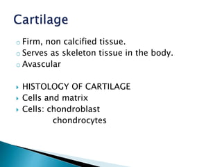 o Firm, non calcified tissue.
o Serves as skeleton tissue in the body.
o Avascular
 HISTOLOGY OF CARTILAGE
 Cells and matrix
 Cells: chondroblast
chondrocytes
 