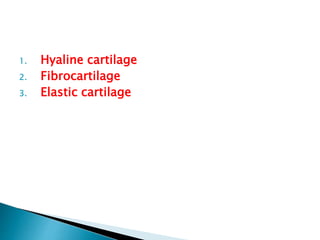1. Hyaline cartilage
2. Fibrocartilage
3. Elastic cartilage
 