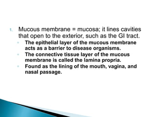 1. Mucous membrane = mucosa; it lines cavities
that open to the exterior, such as the GI tract.
◦ The epithelial layer of the mucous membrane
acts as a barrier to disease organisms.
◦ The connective tissue layer of the mucous
membrane is called the lamina propria.
◦ Found as the lining of the mouth, vagina, and
nasal passage.
 