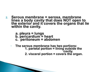2. Serous membrane = serosa, membrane
lines a body cavity that does NOT open to
the exterior and it covers the organs that lie
within the cavity.
a. pleura = lungs
b. pericardium = heart
c. peritoneum = abdomen
◦ The serous membrane has two portions:
1. parietal portion = lining outside the
cavity.
2. visceral portion = covers the organ.
 