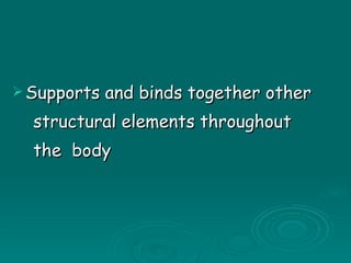 Supports and binds together other structural elements throughout  the  body 
