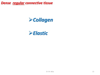 Dense regular connective tissue
Collagen
Elastic
13Dr. M. Attia
 