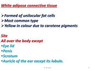 White adipose connective tissue
Formed of unilocular fat cells
Most common type
Yellow in colour due to carotene pigments
Site
All over the body except
Eye lid
Penis
Scrotum
Auricle of the ear except its lobule.
8Dr. M. Attia
 