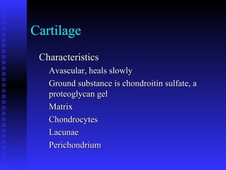 Cartilage
CharacteristicsCharacteristics
Avascular, heals slowlyAvascular, heals slowly
Ground substance is chondroitin sulfate, aGround substance is chondroitin sulfate, a
proteoglycan gelproteoglycan gel
MatrixMatrix
ChondrocytesChondrocytes
LacunaeLacunae
PerichondriumPerichondrium
 